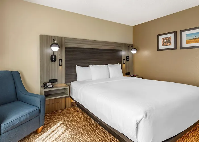 Comfort Inn & Suites North Dallas-Addison